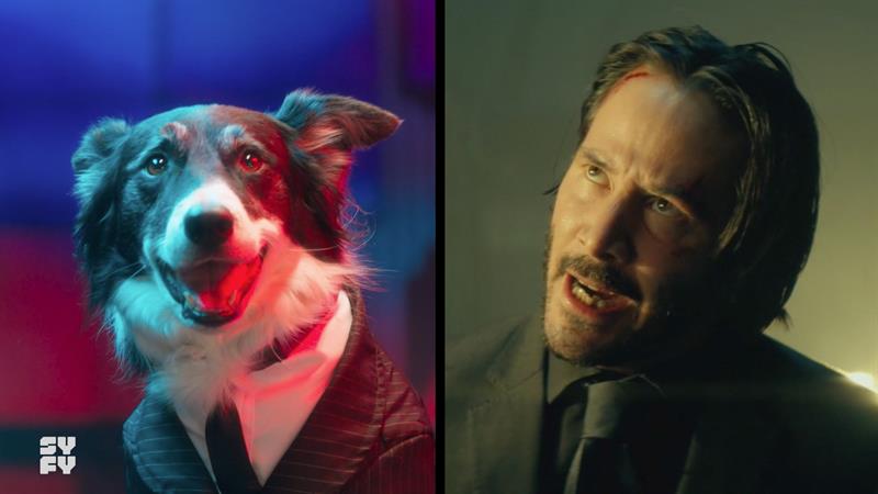 Some Very Good Dogs Reenact Key Moments from John Wick for SYFY's Weekend of Wick (Woof!) Some Very Good Dogs Reenact Key Moments from John Wick for SYFY's Weekend of Wick (Woof!)