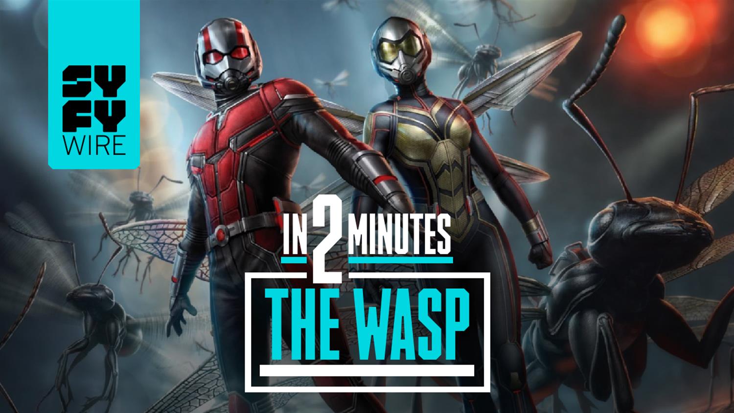 The Wasp In 2 Minutes The Wasp In 2 Minutes