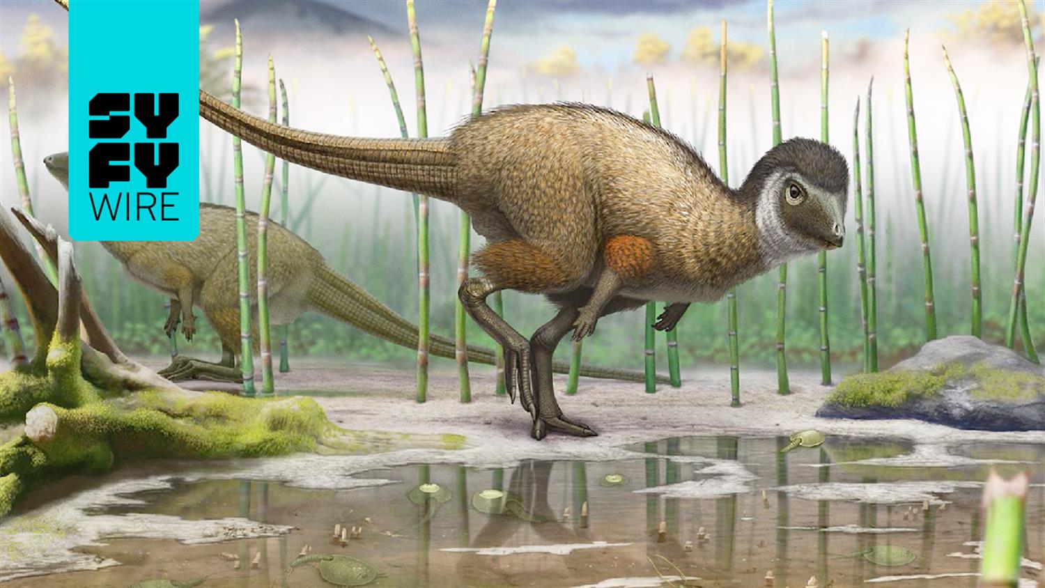 What Dinosaur Fossil Digging Is Really Like (Science Behind the Fiction) What Dinosaur Fossil Digging Is Really Like (Science Behind the Fiction)