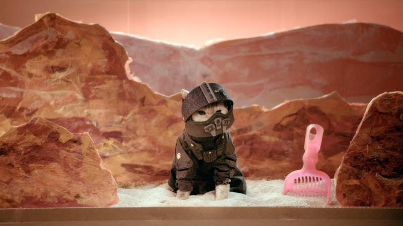 The Expanse Season 1 Recap: With Cats (Recat!) The Expanse Season 1 Recap: With Cats (Recat!)