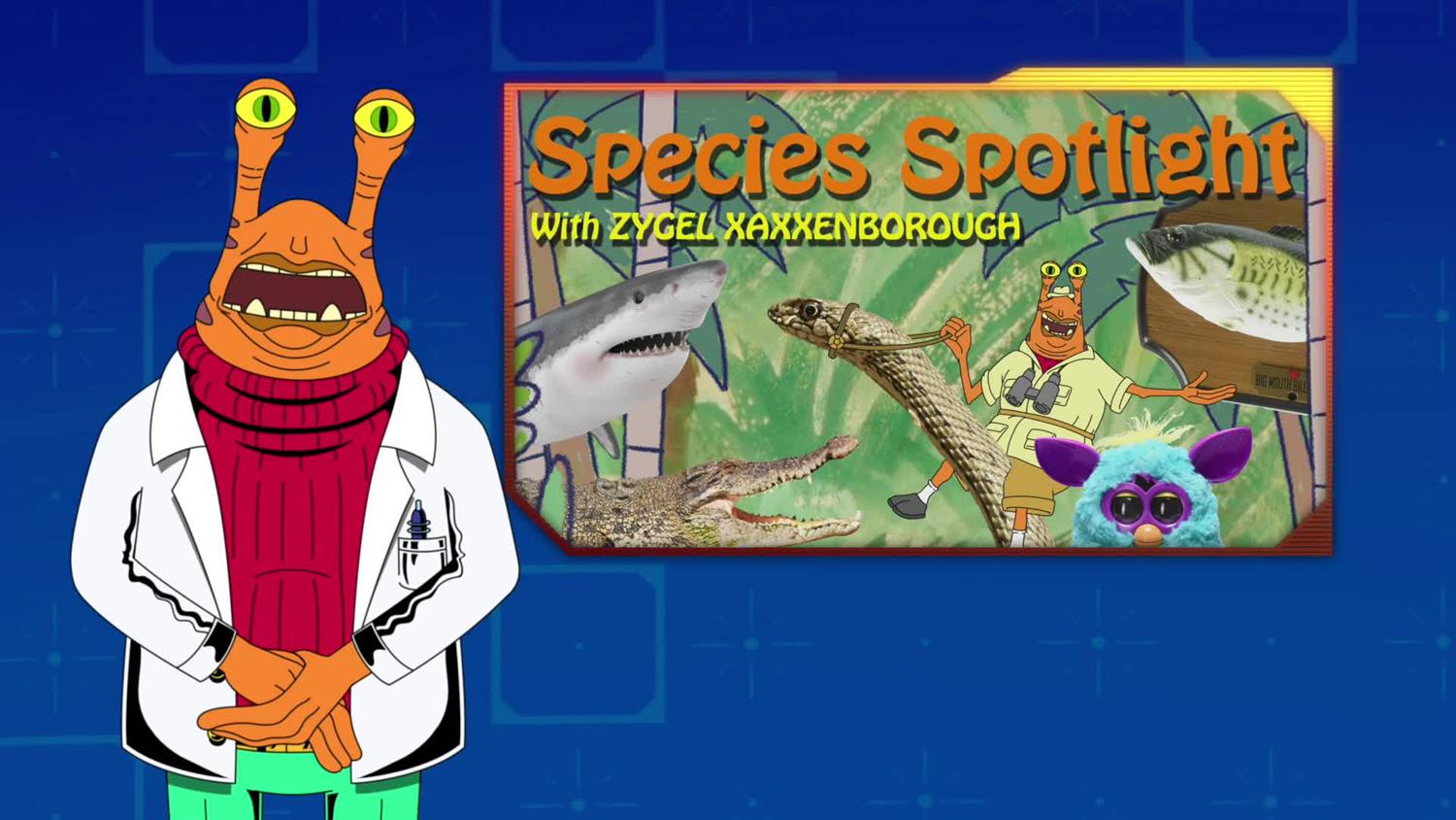 Species Spotlight Species Spotlight