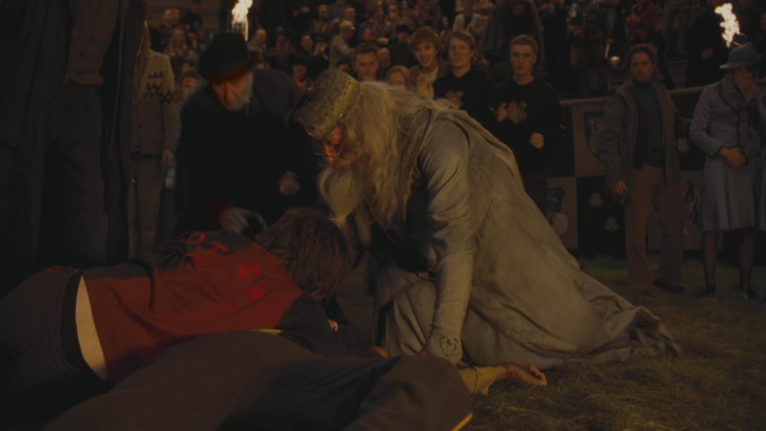 Dumbledore Tribute Dumbledore Tribute