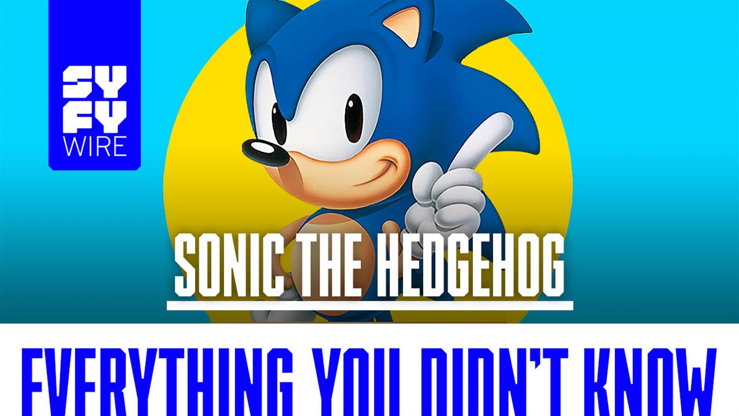 Sonic the Hedgehog TV Show: Everything You Didn't Know Sonic the Hedgehog TV Show: Everything You Didn't Know